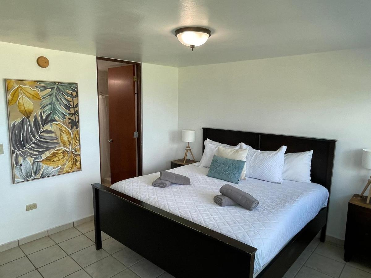 Costa Mar Beach Front Apartment Whith Pool Loiza Kültér fotó